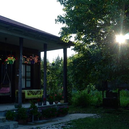 Martvili Guest House Oasis Eksteriør bilde