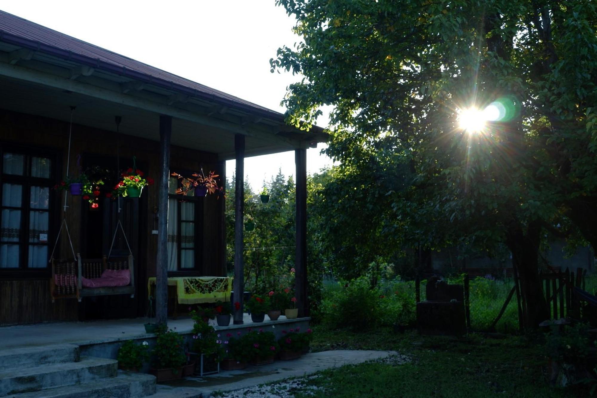 Martvili Guest House Oasis Eksteriør bilde